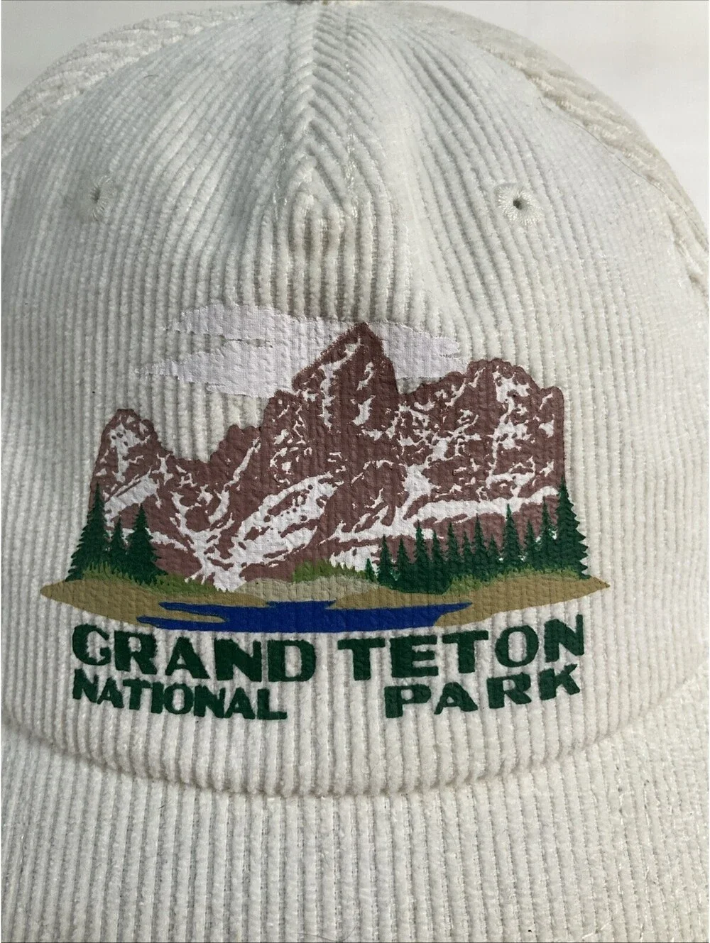 Grand Teton National Park Corduroy Snapback Hat American Needle Adjustable Cap